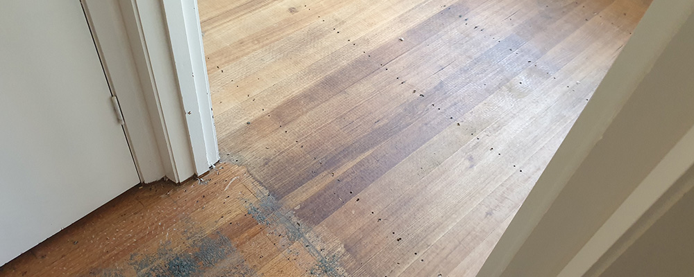 repair damaged timber floors
